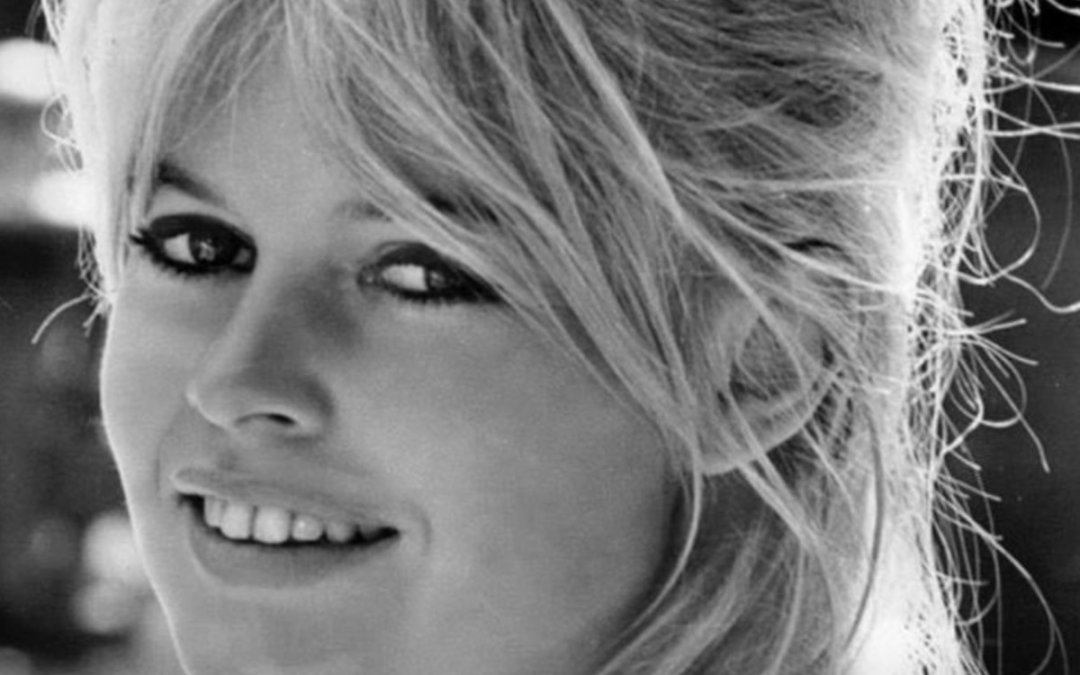 Brigitte Bardot : ses dernières volontés