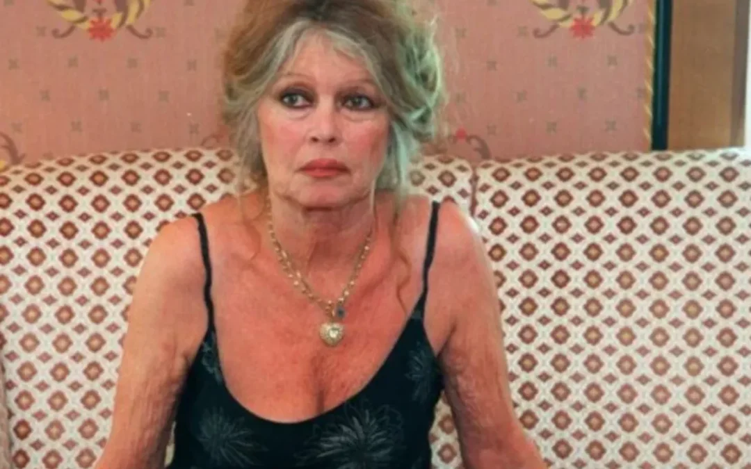 Brigitte Bardot : héritage colossal, mais aucun clash ? Ce détail intrigue