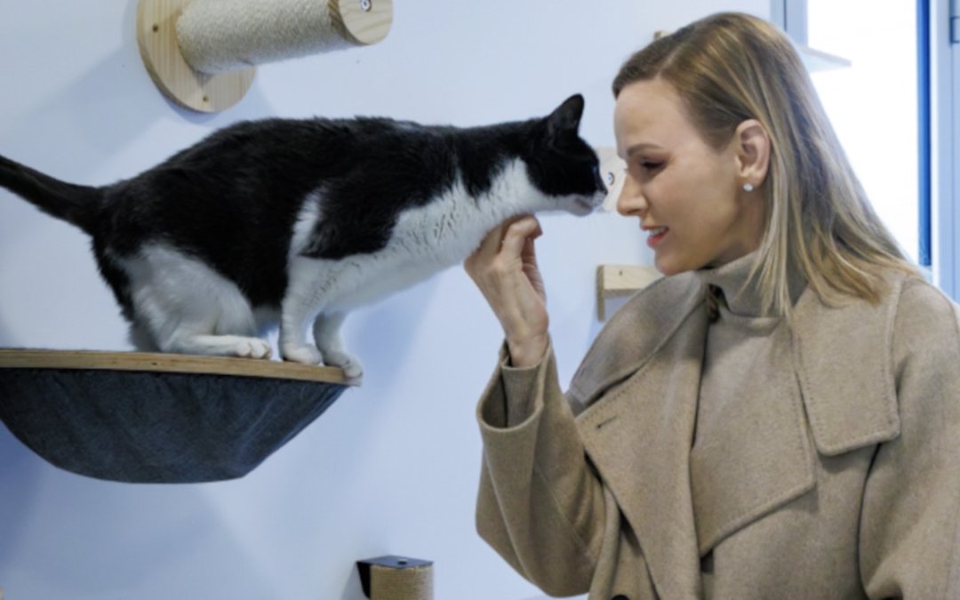 Charlène de Monaco bouleverse les internautes avec un chat à la SPA