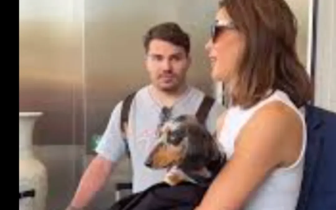 Iris Mittenaere : Le calvaire de sa chienne