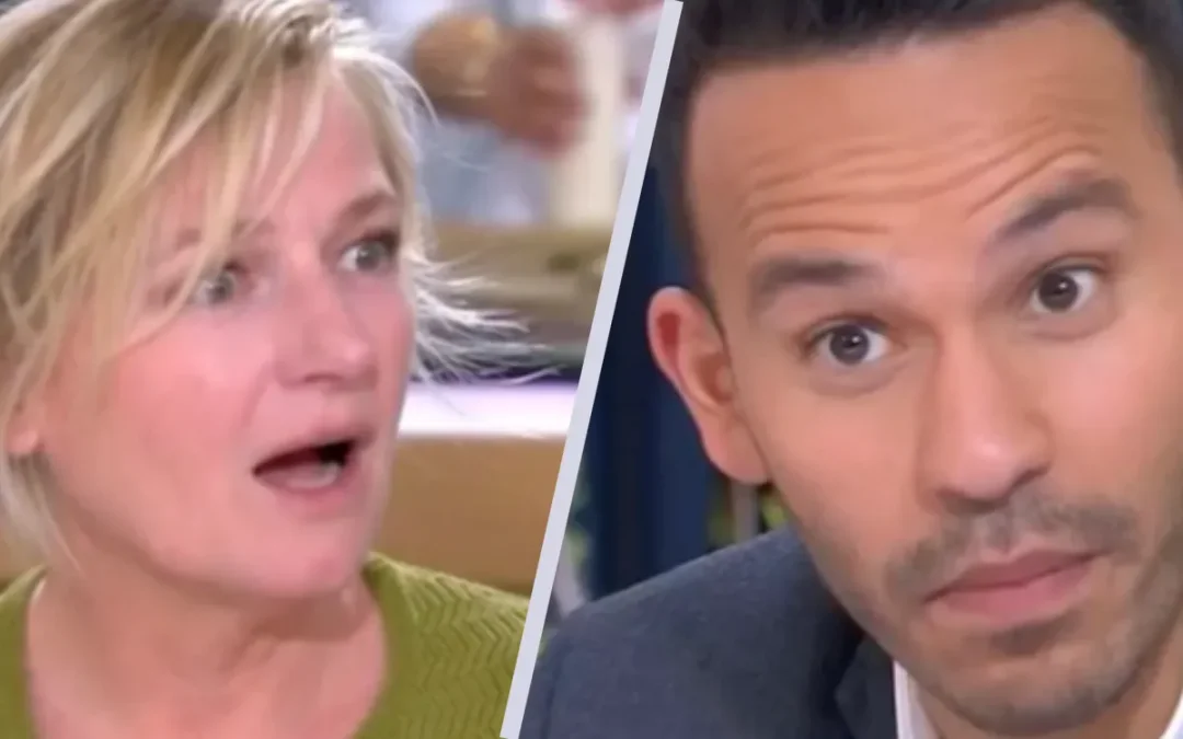 « Elle préférerait passer sous un camion » : Anne-Élisabeth Lemoine furieuse contre Mohamed Bouhafsi