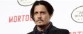 Johnny Depp et Marion Cotillard s'intéressent à l'affaire DSK