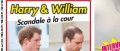 Prince William, neurasthénie, violence gratuite, Harry enfin sauvé