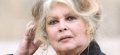 Brigitte Bardot mobilisée contre le festival de YULIN, où des milliers de chats et chiens sont massacrés (vidéo)