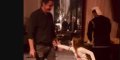 Adriana Karembeu oublie Stomy Bugsy avec son ex : Une célébration familiale magique pour le Nouvel An (vidéo)