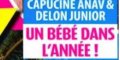 Alain-Fabien Delon séparé de Capucine Anav - bébé pour octobre (photo)