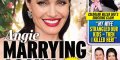 Angelina Jolie trop exigeante, l'actrice lâchée par son businessman français
