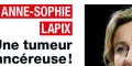 Anne-Sophie Lapix, 14 kilos de moins à cause d'une MST, son mari se livre sur le cancer
