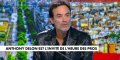 Anthony Delon « se distancie « de Laeticia Hallyday et révèle l'histoire vraie dernière sa guerre contre Anouchka 