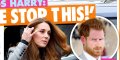 « Arrête ça » Kate Middleton supplie Prince Harry avant son voyage à Boston