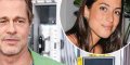 Brad Pitt, heureusement, il y a Ines, grâce à elle, l'acteur oublie ses problèmes 