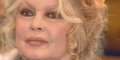 Brigitte Bardot : Luc Besson, un allié de choc contre la chasse à courre !