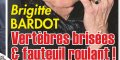 Brigitte Bardot, grave accident, vertèbres brisées, et fauteuil roulant