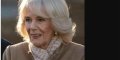 Brigitte Macron : Une Révérence à Charles III et Camilla Parker-Bowles en Suspens ?