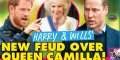 Camilla Parker-Bowles « brouille » Prince Harry et William, la cause des hostilités