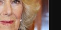 Camilla Parker-Bowles et Charles III s'agacent contre William : Une prise de parole qui fait grincer des dents