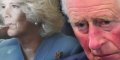 Camilla Parker-Bowles : cure de désintoxication secrète - Charles est désespéré