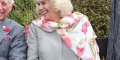 Camilla Parker-Bowles et Charles, de graves ennuis, pourquoi un médecin les suit partout ?