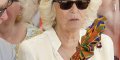 Camilla Parker-Bowles jalouse, elle quitte Charles et le laisse seul en Afrique