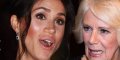 Camilla Parker-Bowles - Cette initiative qui pourrait faire de l'ombre à Meghan Markle !