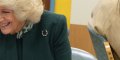 Camilla Parker Bowles « une infidélité », elle chamboule la vie d'un homme (photo)