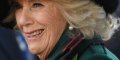 Camilla Parker-Bowles au repos forcé, William à la rescousse 