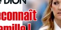 Céline Dion, fin de carrière, les meilleurs spécialistes s'inquiètent