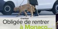 Charlène de Monaco obligée de rentrer, révélations sur ses longues tractations avec Albert