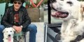 Laeticia Hallyday séparée de Cheyenne, la chienne de Johnny