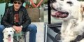 Laeti­cia Hallyday s'affiche avec la chienne de Johnny avant de retirer la photo
