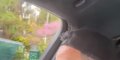 Cyril Hanouna fou d'amour, déconcertante allusion à Kelly Vedovelli (vidéo)