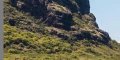Diam's, étonnant séjour Ile Maurice, sa "grande annonce" (photo)