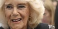 Fatigue persistante : la reine Camilla brise le silence sur sa santé