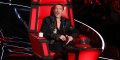 Mika, Zazie, Florent Pagny, et Pascal Obispo, quel est le montant de leur cachet dans The Voice 7 ?