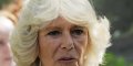 Infection pulmonaire pour Camilla Parker Bowles : une pause forcée pour la reine consort