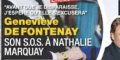 Jean-Pierre Pernaut "humiliant", propos "choc" sur Geneviève de Fontenay "mourante"