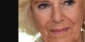 Kate Middleton et William : Les inquiétudes grandissent pour Camilla Parker-Bowles et sa lutte contre l'alcool