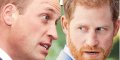 Kate Middleton et William : leur plan secret pour tenir Harry et Meghan à distance