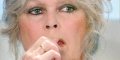 La Fondation Brigitte Bardot vole en éclat, l'oeuvre de sa vie 