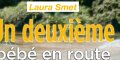 Laura Smet, grossesse compliquée - L'actrice soumise à une énorme pression