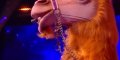 Mask Singer 2023 - Michaël Youn et Vincent Dessagnat dans le costume du Chameau, indice révélateur (vidéo)