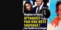 Meghan Markle et Harry, attaqués par une bête sauvage, leur famille est en danger