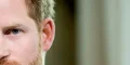 Meghan Markle et Prince Harry, le plan de William débusqué, ce qu'il prépare au Palais