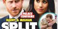 Meghan Markle et Prince Harry, une terrible rupture, le palais confirme (photo)