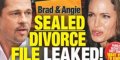 Brad Pitt et Angelina Jolie, divorce finalisé, des détails divulgués