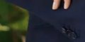 Albert de Monaco, cette bague à plusieurs millions que Charlène ne porte jamais