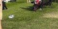 Albert de Monaco - son ex s'affiche avec Kate Middleton à Ascot (photo)