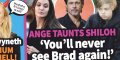 Brad Pitt humilié, écarté de Shiloh par Angelina Jolie comme un malpropre (photo)