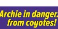 Camilla Parker-Bowles, Prince Charles, Archie en danger, le petit-fils guetté par les coyotes (photo)