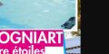 Denis Brogniart « en fuite » après un Koh-Lanta contesté, sa cachette dévoilée